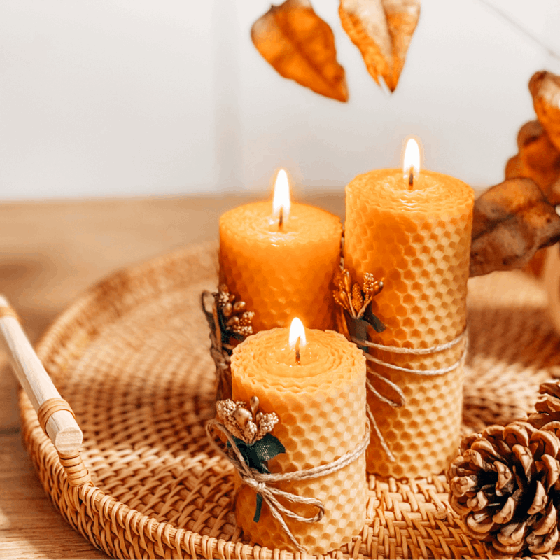 Pillar Beeswax Candles